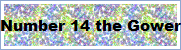 Number 14 the Gower