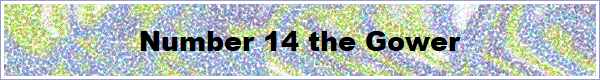 Number 14 the Gower